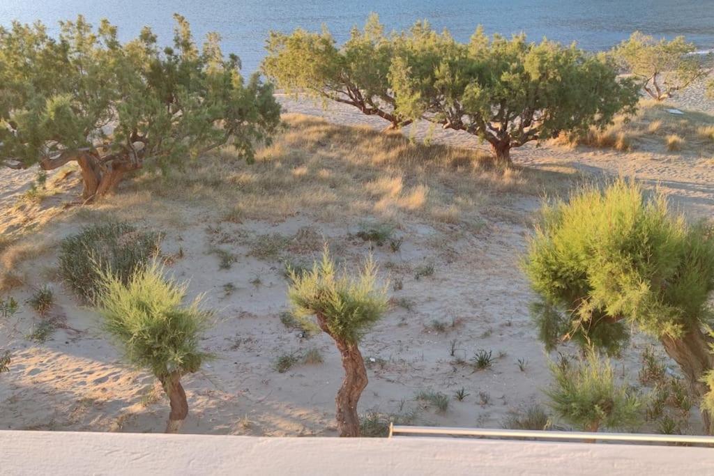 Aegean Dream House Villa Kamares  Luaran gambar